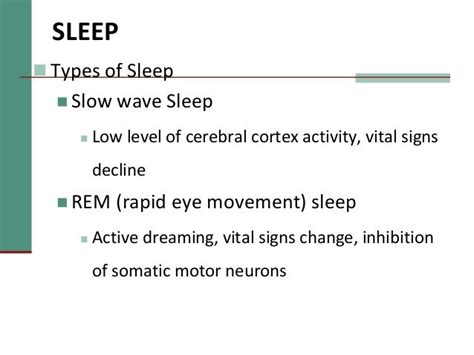 Sleep View Sleep Spindles Psychology Definition Quizlet Png