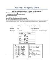 Eye Color And Polygenic Inheritance Worksheet Answers - Eye Color Photos