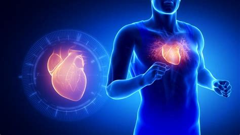 Rapid Fatigue Can Be Symptom Of Heart Valve Disease