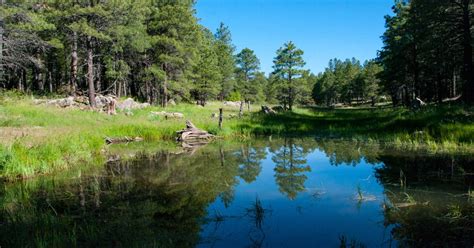 Griffith Spring Trail Flagstaff 10adventures Route Guide 10adventures