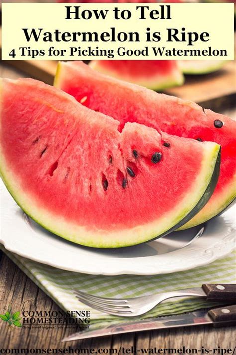 Watermelons are a terrific snack for the warmer months and with the sunny weather on its way, you should refresh yourself on the best ways to you'll also want to make sure that your watermelons aren't too shiny. How to Tell Watermelon is Ripe - 4 Tips for Picking Good ...