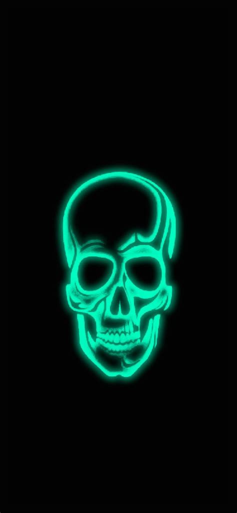 Framed Wallpaper Skull Wallpaper Skulls Neon Signs Wallpapers Pins
