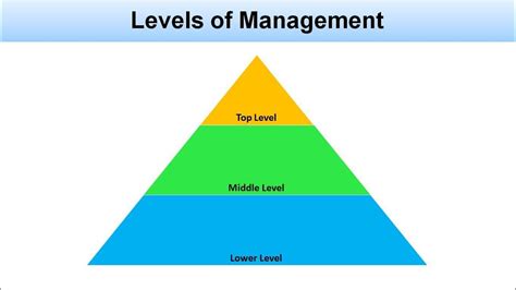 Levels Of Management And Function Of Each Levels Top Middle And Lower