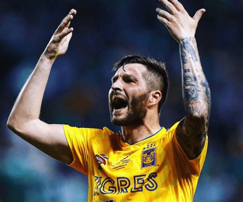 Tigres Favored To Win Liga Mx Apertura