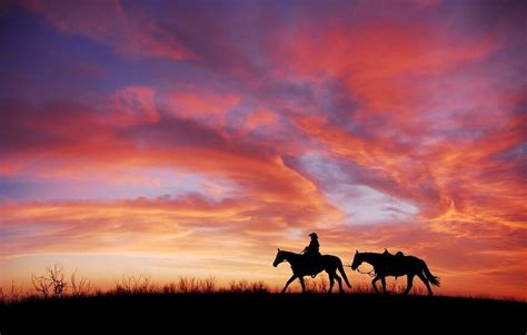 Cowboy Heading Home At Sunset Silhouette Art Silhouette Canvas