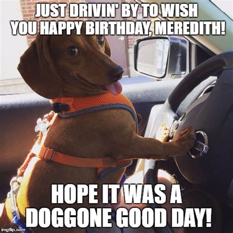 Wiener Dog Happy Birthday Meme