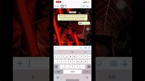 Hidden Whatsapp Texting Features Youtube