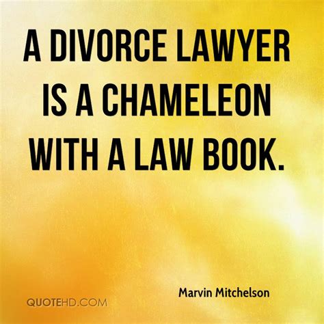 We did not find results for: Divorce Lawyer Quotes. QuotesGram