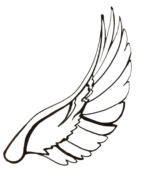 Wings Line Drawing At Getdrawings Free Download