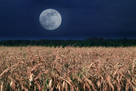 The Full September Corn Moon Will Be Shining Soon Followed By 2 Full
