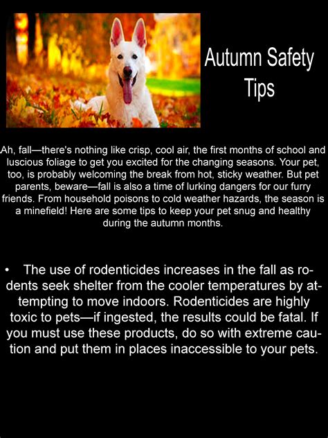 Autumn Safety Tips Safety Tips Changing Seasons Weather Autumn Fall