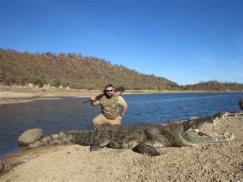 7 Day Crocodile Hunt For One Hunter And One Non Hunter In Mozambique