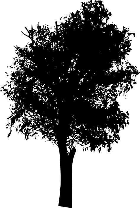 Treeline Silhouette Png Free Download Oak Tree Black And White