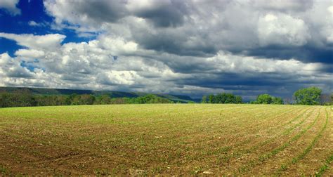320x570 Resolution Farm Field During Cloudy Day Hd Wallpaper