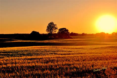 Sunset Over Farm Fields In Seeleys Bay Vacation Spots Travel Inspo