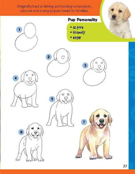 Huskies were first raised in siberia to serve as companions, guards, and sled. How To Draw A Puppy Step By Step For Kids Easy - Cat's Blog