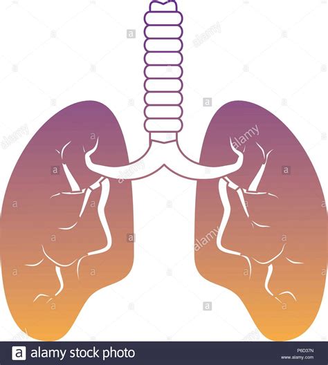 Human Lungs Icon Over White Background Vector Illustration Stock