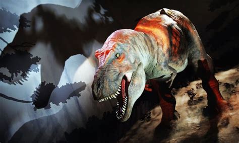 Tyrannosaurus Rex Was A Sensitive Lover New Dinosaur Discovery Suggests Dinosaurs The Guardian