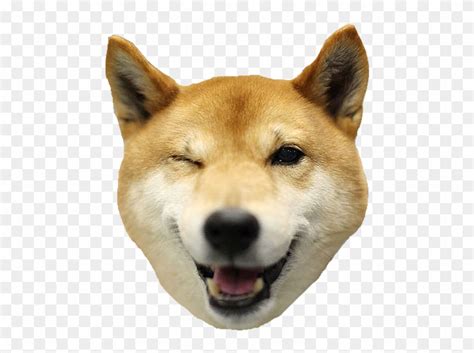 As of july 5, 2019, it has been favorited 441 times. Doge Roblox Head / Doge Head Roblox President Doge Png ...