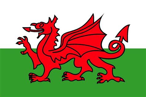 The traditional flags & creatures of wales. Wales - The Welsh Dragon Flag 30 x 45cm | ChasNewensMarine