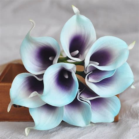 Aqua Blue Purple Picasso Calla Lilies Real Touch Flowers Etsy