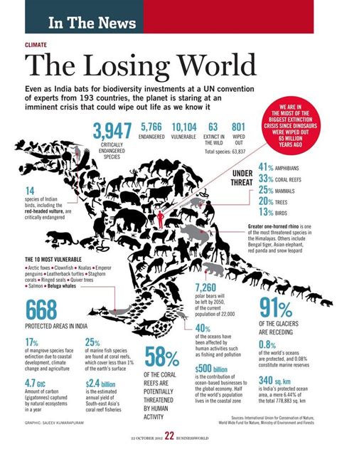 Infographic Showing Loss Of Biodiversity Biodiversity Conservation