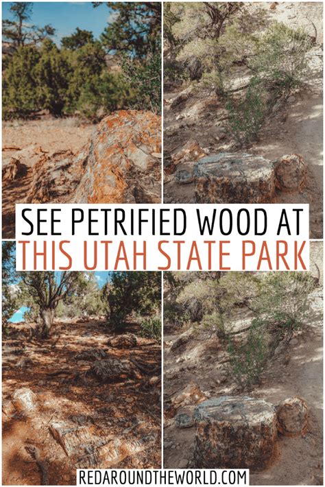 Visit Escalante Petrified Forest State Park And Hike The Sleeping