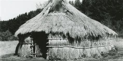 Bibliografía Ruka Representación Arquitectónica Y Simbólica Del Mundo Mapuche Museo Mapuche