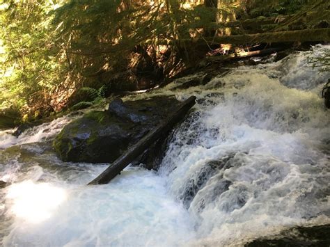 Panther Creek Falls Outdoor Project