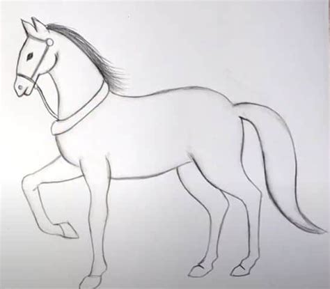 Simple Horse Drawing Easy How To Draw A Horse Step By Step