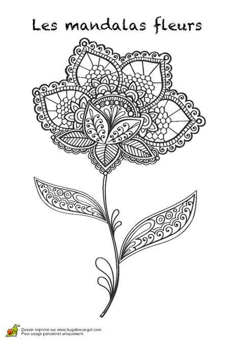 Coloriage Les Mandalas Fleurs Sur Hugo 12 Sur