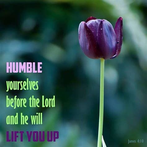 Most of the humble yourself quotations and captions are from famous authors like norman vincent peale and bhakti tirtha swami. Humble yourselves before the Lord and he will life you up ...