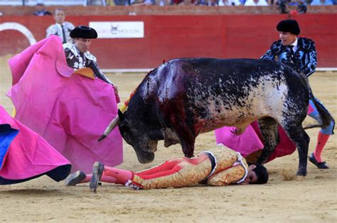 Wife Of Bullfighter Gored To Death Watched In Horror From The Stands