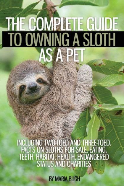 The Complete Guide To Owning A Sloth As A Pet Including Two Toed And
