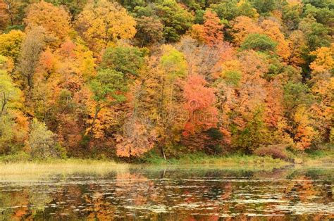 Fall Colors Reflected On A Lake Stock Image Image Of Scenery Scenic