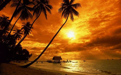 Tropical Sunset Beach Hd Wallpaper Beach Sunset Wallpaper Sunset