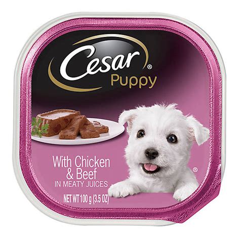 D ue to food safety regulations, we ask that you do not donate food items that are unsealed, loose items without ingredients listed, glass containers, or loose glass. Cesar® Canine Cuisine Puppy Food - Chicken & Beef | dog ...