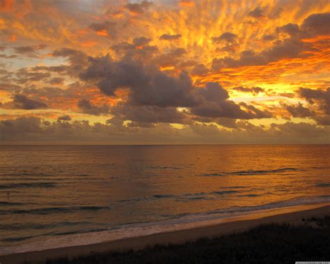 Free Photo Golden Sunset Clouds Golden Red Free Download Jooinn