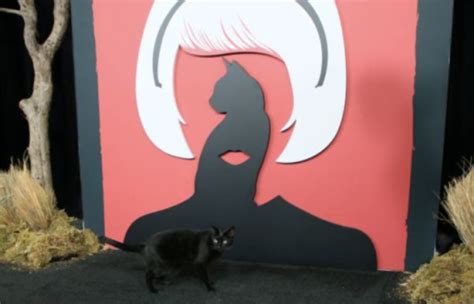Thumbs Pro Disconymph Fyeahriverdale The Cat Playing Salem In Chilling Adventures Of Sabrina