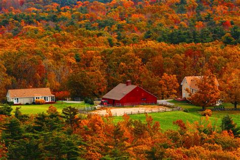 Download Fall Tree Forest Country House Man Made Barn Hd Wallpaper
