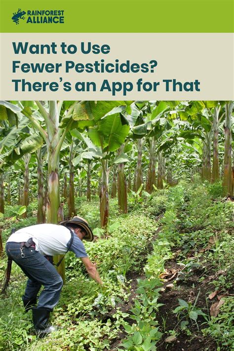 Pesticides only used when careful field moniotring, based on economic threshold levels, indicates they are needed. New Integrated Pest Management App | Integrated pest ...