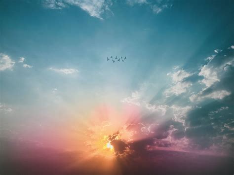 Download Flying Birds Sky Background Wallpaper