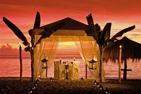 Ideas for the Tropical-Themed Wedding | WeddingElation