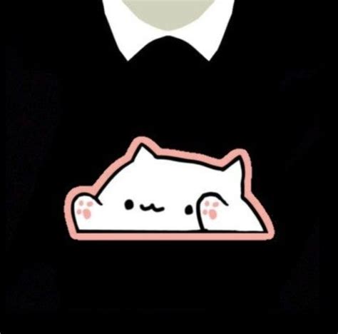 Create Meme Cat T Shirts For Roblox Bag Bongo Cat Pictures