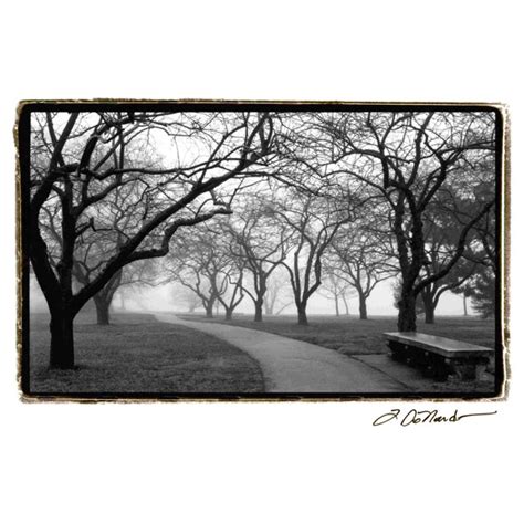 Loon Peak Foggy Morning Walk On Fap By Laura Denardo Wrapped Canvas