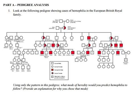 Why can you make this conclusion? Solved: Look At The Following Pedigree Showing Cases Of He ...