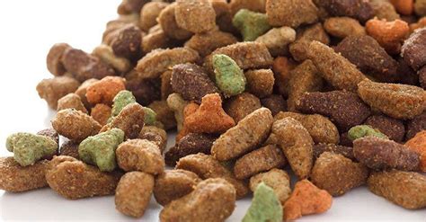 Usually, a dog will need a bland diet for colitis because he needs to reboot his stomach. Best Dog Food for Boxers With Sensitive Stomachs That 100% ...