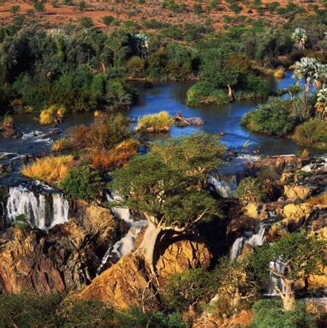 My name is craig berger, and i lead small safari groups into the most wonderful national parks and game reserves in africa. Picturesque african jungle — Stock Photo © Gi0572 #82362454