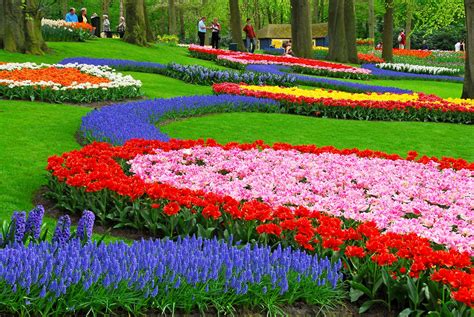 Exciting Color Colorful Keukenhof Tulip Gardens10 Colorful Places To