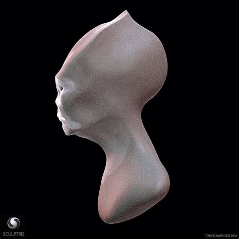 Alien Head Sculpt 3d Model Obj